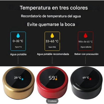 Termo Inteligente