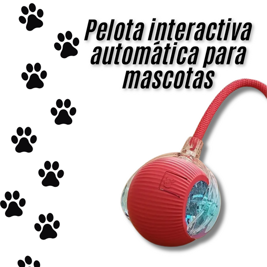 Pelota interactiva automática para mascotas