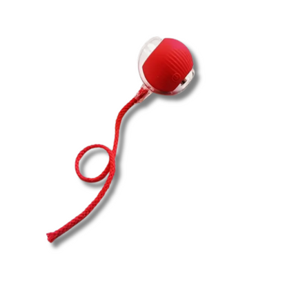 Pelota interactiva automática para mascotas