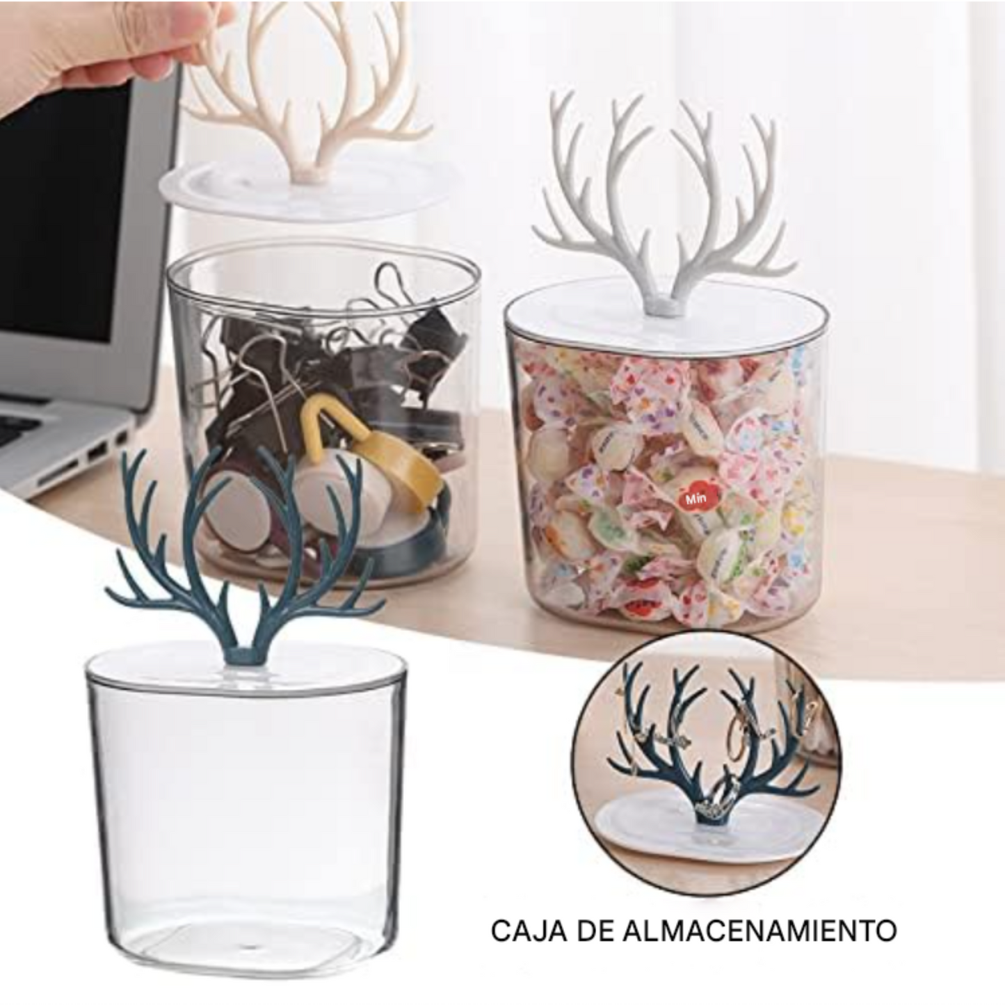 Contenedor con Tapa de forma de cuernos