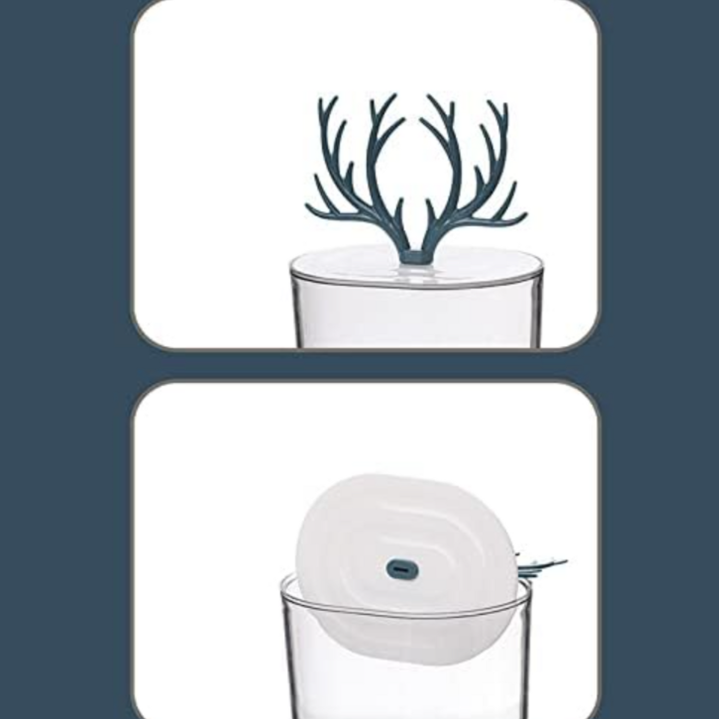 Contenedor con Tapa de forma de cuernos