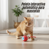 Pelota interactiva automática para mascotas