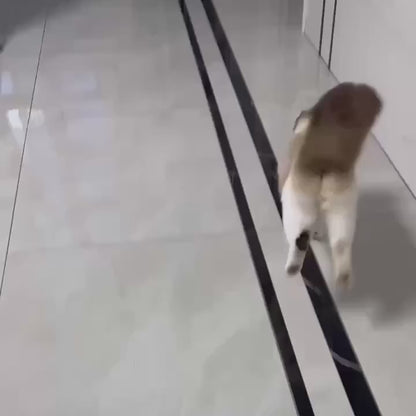 Pelota interactiva automática para mascotas